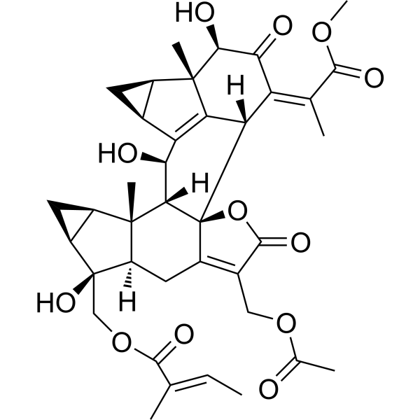 Sarglaroids F
